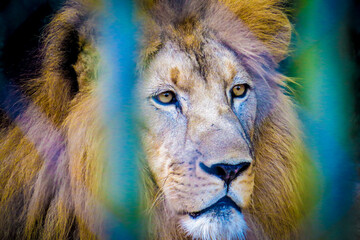 Zoo Aracaju © Fabricio Silva