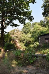 The old house in the mountain forest in Uttarakhand India