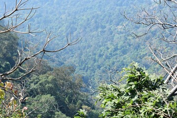 View of the valley from the mountain in himalaya