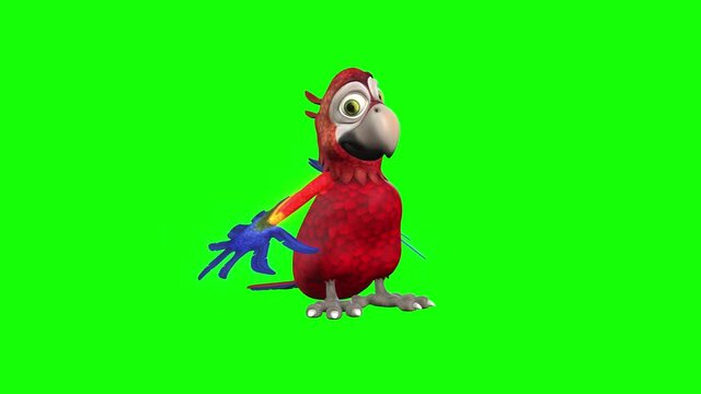 3d animation a colourful cartoon parrot stands and waves his feathers and other movements.
