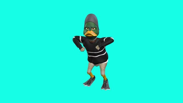 A Funny 3d Animated Cartoon Duck, Dances Around And Wears Clothes.