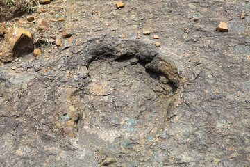 Dinosaur footprint in rock in Bolivia, South America