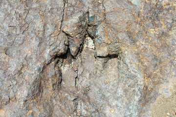 Dinosaur footprint in rock in Bolivia, South America