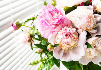 Beautiful pink peony bouquet in a vase.