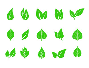 Eco, green, leaves icon set. Vector illustration.