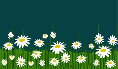 colorful spring flowers vector illustration