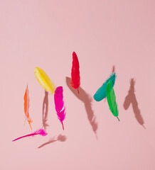 red, yellow, pimk, orange, green and blue feathers flying in the air on the pink pastel background. summer abstract art. summer creative idea