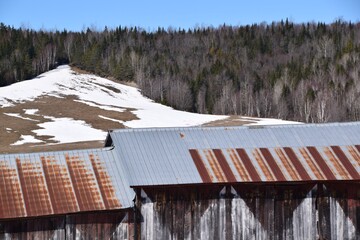 Obraz premium The Road of Summits during springtime