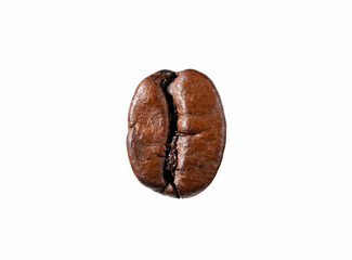 A single coffee bean on a white background.