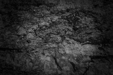 Black and white tone rock surface.