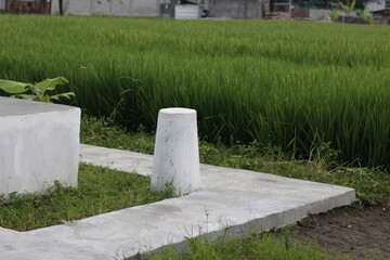 Concrete installation beside rice field. Indonesian rice field. 