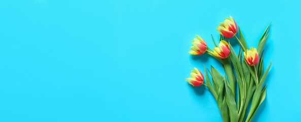 Obraz na płótnie Canvas A bouquet of tulips as a gift for March 8, Mother's Day, Valentine's Day. Easter decor. Top view. Copy space. Flowers tulips on a blue background. Banner