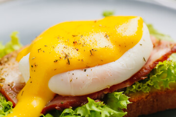 Tasty egg Benedict on plate, closeup
