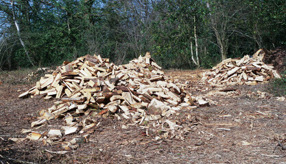 stack of wood in the countryside