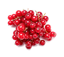 Fresh red currant on white background