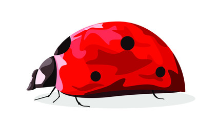 A bright red ladybug on a white background. Summer