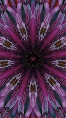 abstract purple flower background in kaleidoscope view