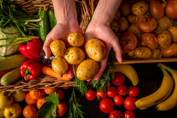  Organic vegetables. Farmers hands with freshly picked vegetables. Fresh organic potatoes. Fruits and vegetables market