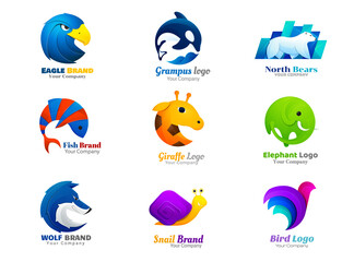 Animal logo collection eagle, killer whale, polar bear, fish, sheep, ram, giraffe, elephant, wolf, snail, spider, bird symbol.