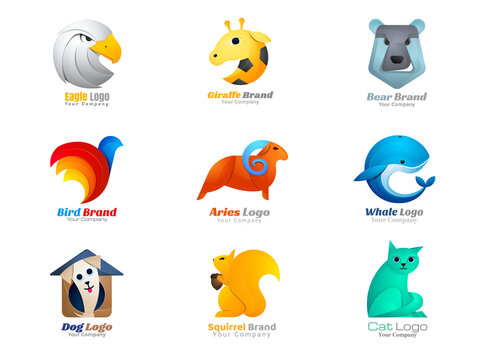 Animal logo collection eagle, giraffe, bear, bird, ram, ram, whale, dog, squirrel, cat symbol.