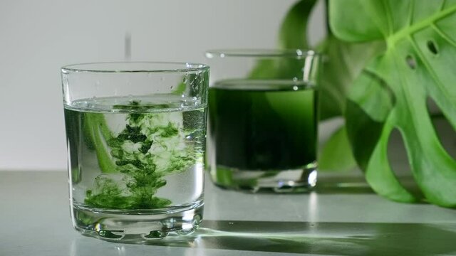 Chlorophyll extract is poured in pure water in glass against a white grey background with green leaf. Liquid chlorophyll in a glass of water. Concept of superfood, healthy eating, detox and diet
