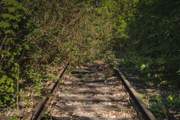 Closed down railway line with overgrown rails in Bottrop, North Rhine-Westphalia, Germany