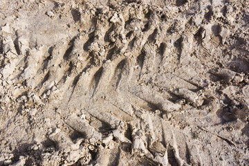 Tyre mark background. Tire track shape. Trail lines on dry brown sand pattern. Road construction site backdrop. Heavy machinery imprint. Dried mud vehicle wheel shape.