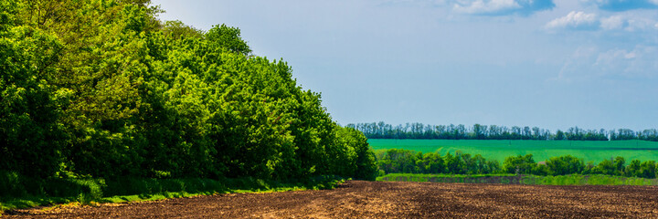 Countryside View of Ploughed Farmland in Spring