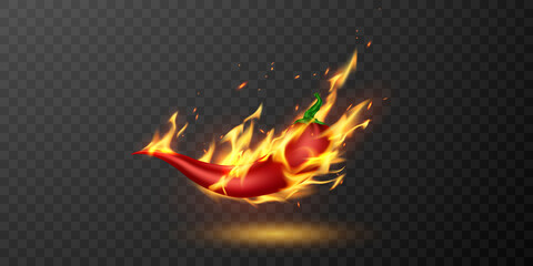 medium and hot fire chilli pepper. © HNKz