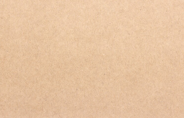 Uniform texture of a dense light cardboard sheet.