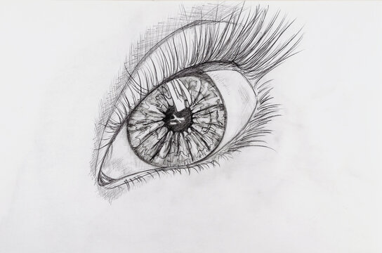Pencil drawing of a female eye on white paper.