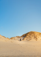 Fototapeta na wymiar Mujer Joven caminando por el desierto, parada en medio de unas dunas con luz de atardecer