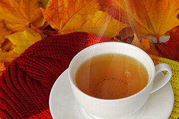 White cup of hot tea among yellow and red autumn foliage.