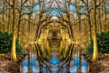 Fototapeta na wymiar Landschaft mit Spiegelung von Bäumen in einem Teich im Winter