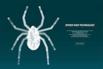 Spider hacker attack danger