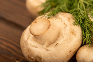 Fresh young mushrooms and juicy green dill on the table.
