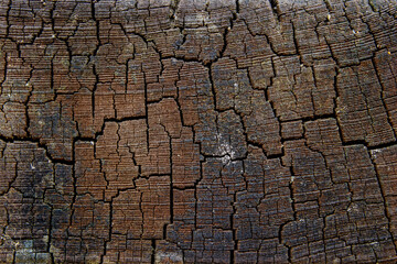 Brown grain with scratches and cracks 6600