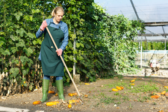 Portrait of positive female gardener at work in greenhouse