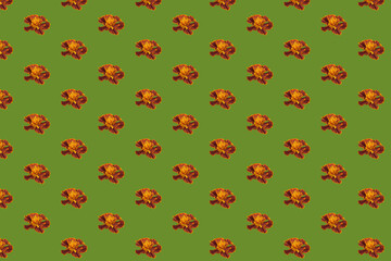 Pattern from a marigold flower.