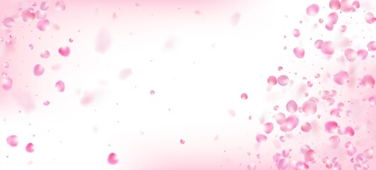 Rose Petals Falling Confetti. Blooming Cosmetics Ad Elegant Flower
