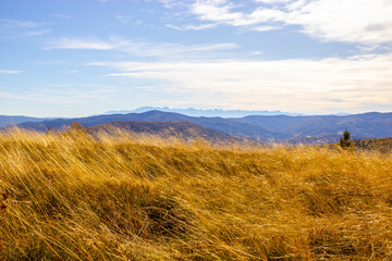 High yellow dry autumn grass, blue sky and mountains