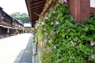 夏の金沢旅行　ひがし茶屋街