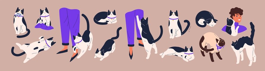 Cat's body language. Feline behavior and feelings. Cute pets with angry, friendly, calm, playful and scared emotions. Kittens relaxing, asking for food and lying belly up. Flat vector illustration © Good Studio