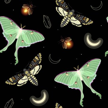 Vector seamless pattern with moon moth and stars