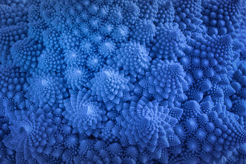 Natural fractal from romanesco cauliflower. Abstract background.