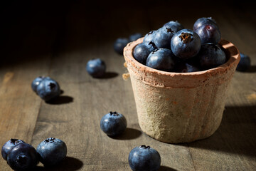 Blueberries close up