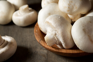 Mushrooms close up