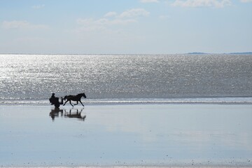 Sleigh on the beach (carriole sur la plage. L'île d'Yeu à l'horrizon). France