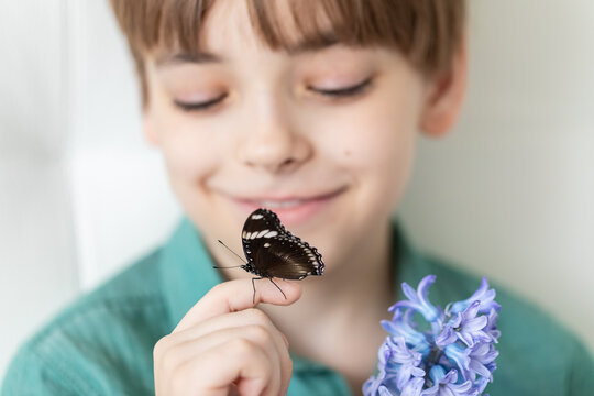 Caucasian boy holds on his finger a beautiful tropical butterfly with bright wings. A child admires the wonderful nature