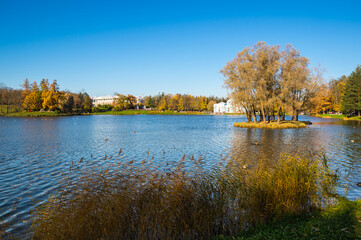 Obraz premium View of city park